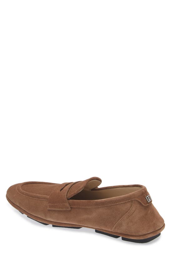 Shop Dolce & Gabbana Crosta Driving Shoe In Nocciola