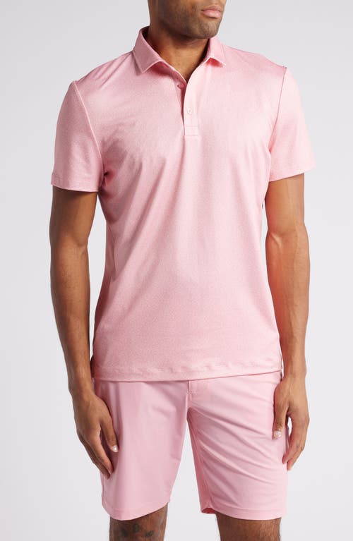 Redvanly Kimbell Floral Performance Golf Polo in Peony 