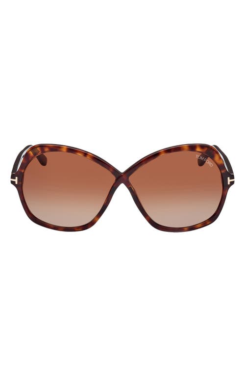 Tom Ford Rosemin 64mm Gradient Oversize Butterfly Sunglasses In Shiny Dark Havana/brown