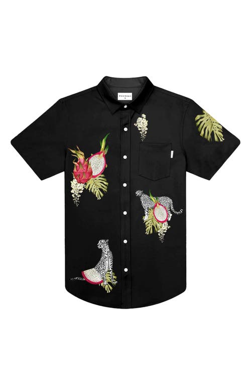 Dragon Fruit Waterproof Performance Short Sleeve Button-Up Shirt in Black Multi