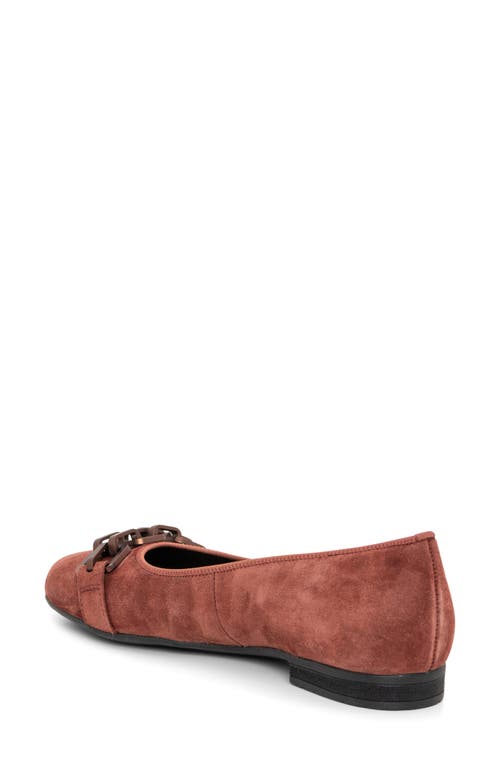 Ara Scout Chain Ballet Flat In Terra