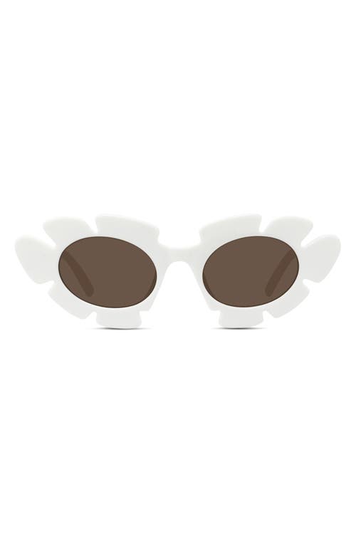 Shop Loewe X Paula's Ibiza Flower 47mm Small Cat Eye Sunglasses In White/brown