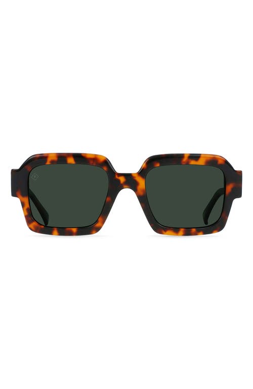 RAEN Mystiq 52mm Polarized Square Sunglasses in Huru /Green Polar at Nordstrom