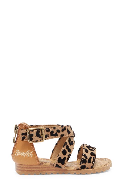Shop Blowfish Footwear Kids' Aida Sandal In Bee Honey/sahara Leopard
