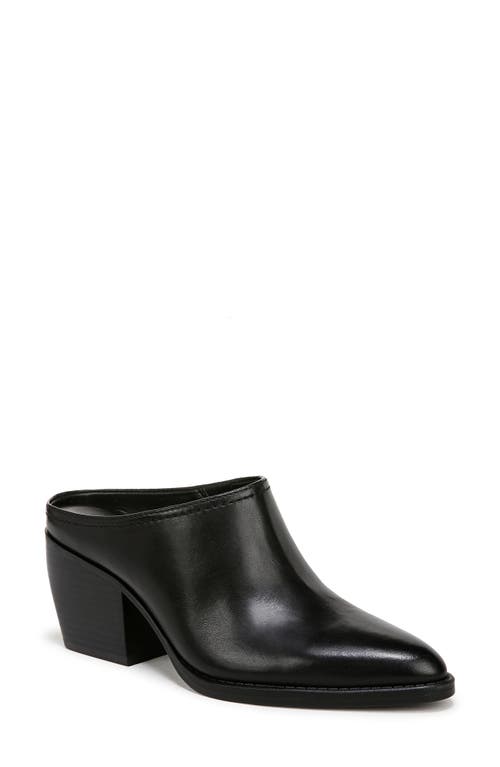 Naturalizer Fairmont Pointed Toe Mule In Black