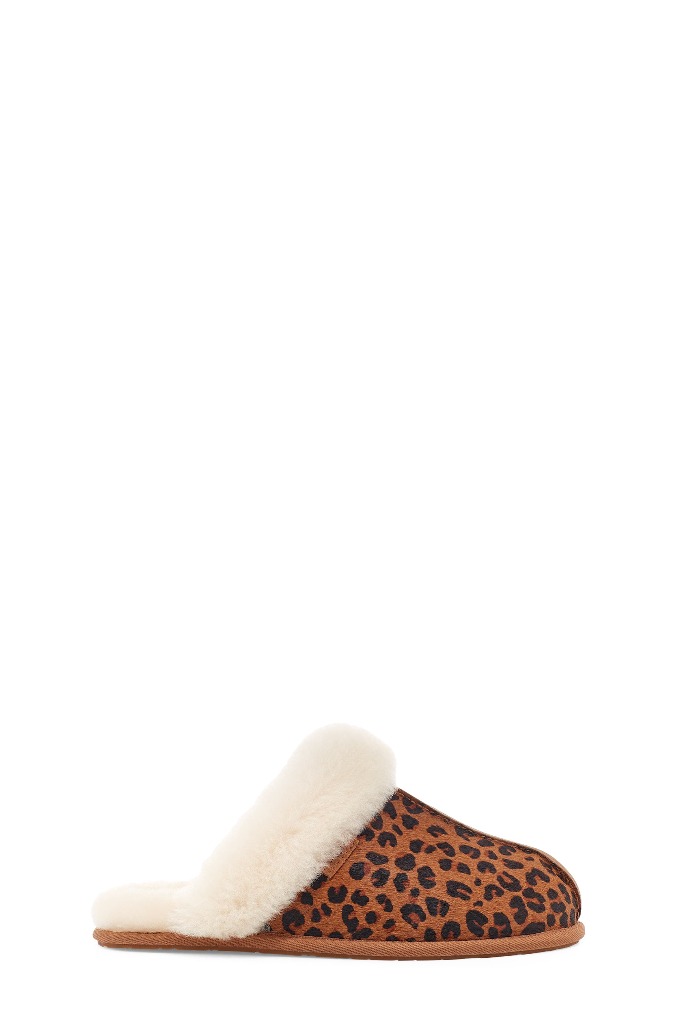 ugg scuffette slippers nordstrom