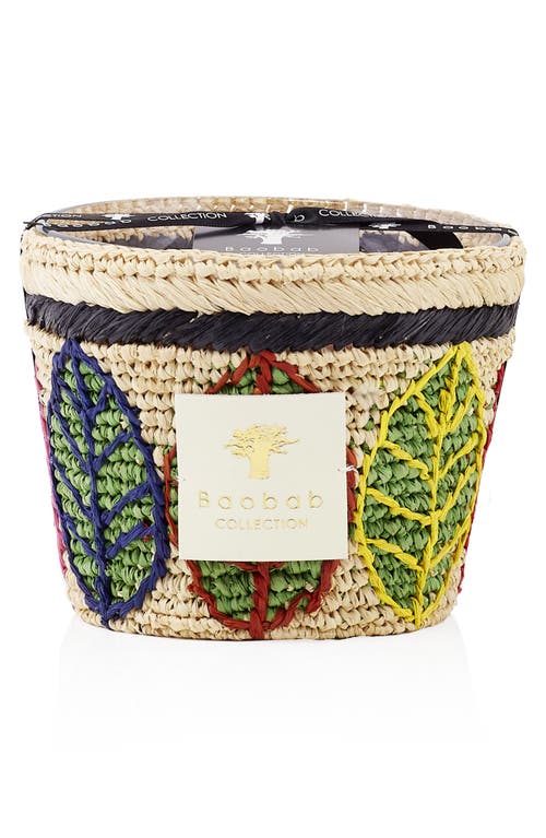 Baobab Collection Ravintsara Candle in Lamba at Nordstrom, Size Small