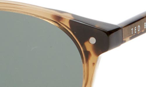 Ted Baker London 51mm Round Sunglasses In Brown