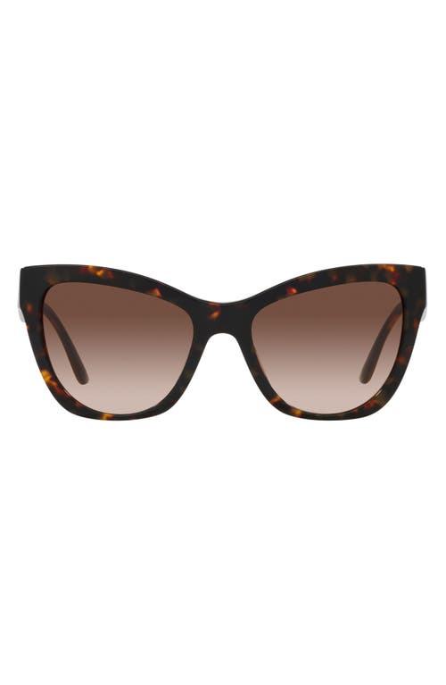 Versace 56mm Gradient Cat Eye Sunglasses in Havana
