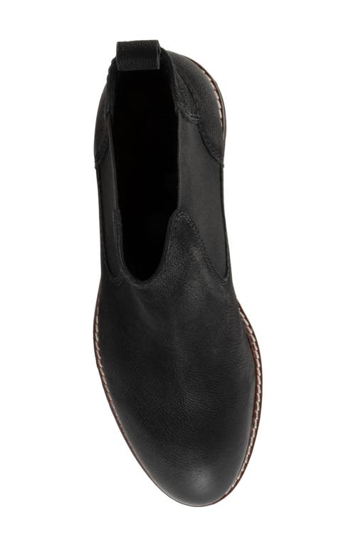 Shop Softwalk ® Indy Chelsea Boot In Black Nubuck