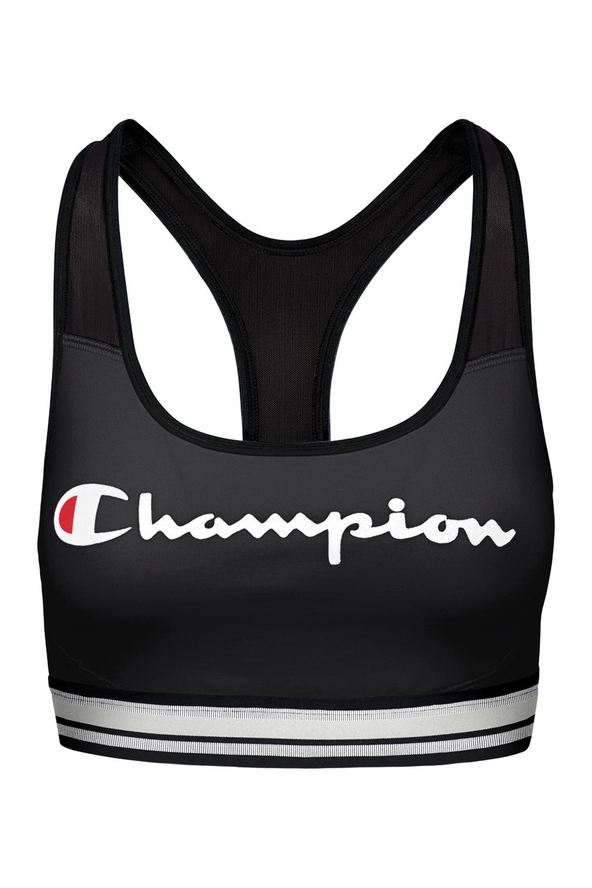 champion absolute bra
