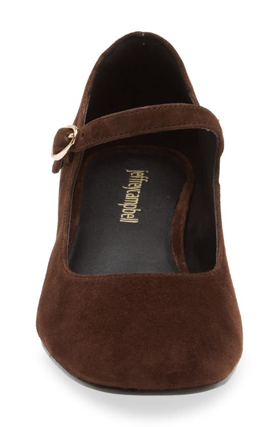 Dark Brown Suede