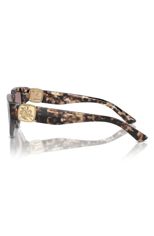 Shop Dolce & Gabbana Dolce&gabbana 59mm Butterfly Sunglasses In Brown Havana