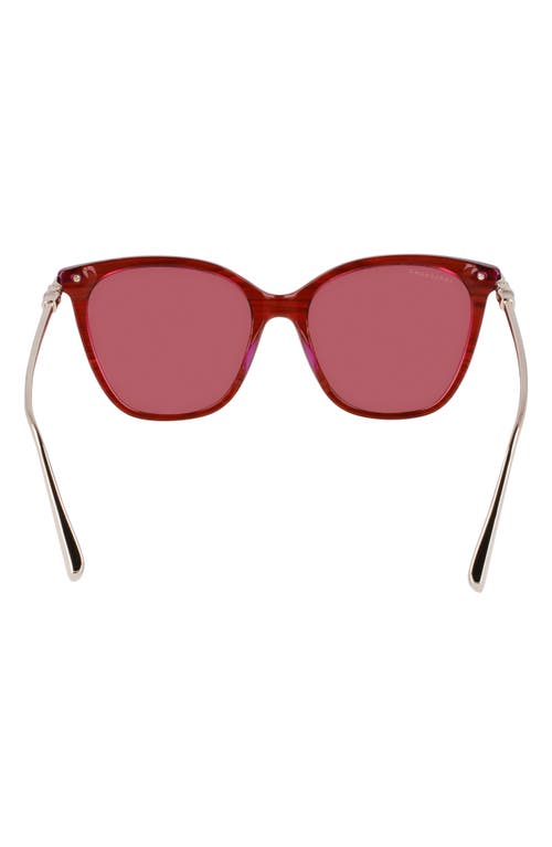 Longchamp Roseau 55mm Rectangular Sunglasses In Striped Red