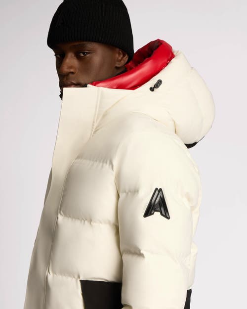 Alpenhaus Virterre Expedition Puffer With Contrast Double Hood In Snow-white