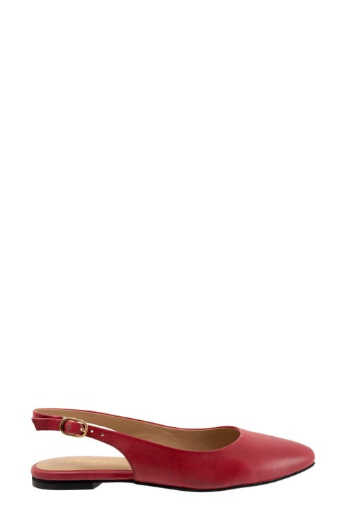 Shop Trotters Evelyn Pointed Toe Slingback Flat In Red