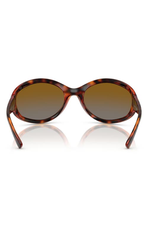 Vogue 65mm Oversize Oval Sunglasses In Dark Havana