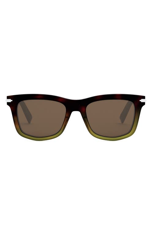 'DiorBlackSuit S11I 53mm Geometric Sunglasses in Havana/Other /Brown at Nordstrom