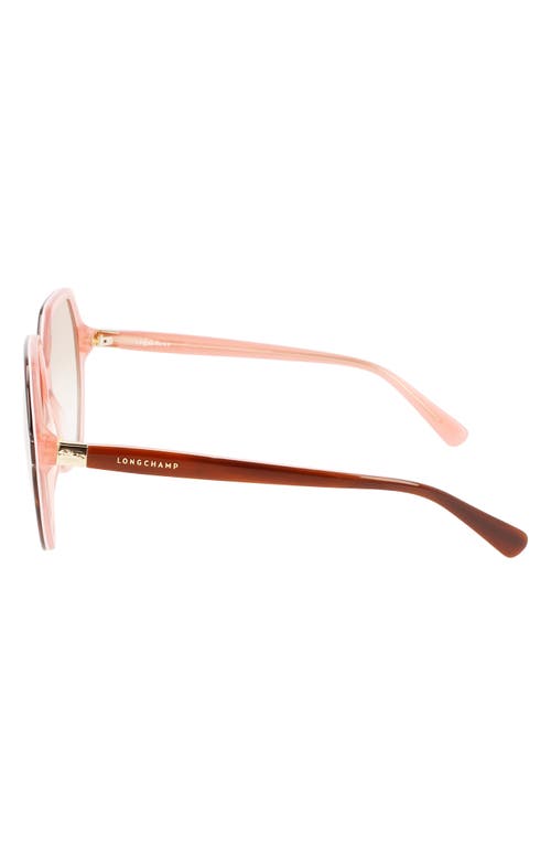 Shop Longchamp 58mm Le Pliage Modified Rectangle Sunglasses In Havana/rose