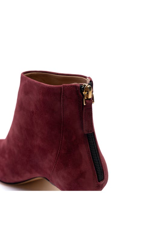 Shop Bruno Magli Francesca Pointed Toe Kitten Heel Bootie In Bordeaux Suede