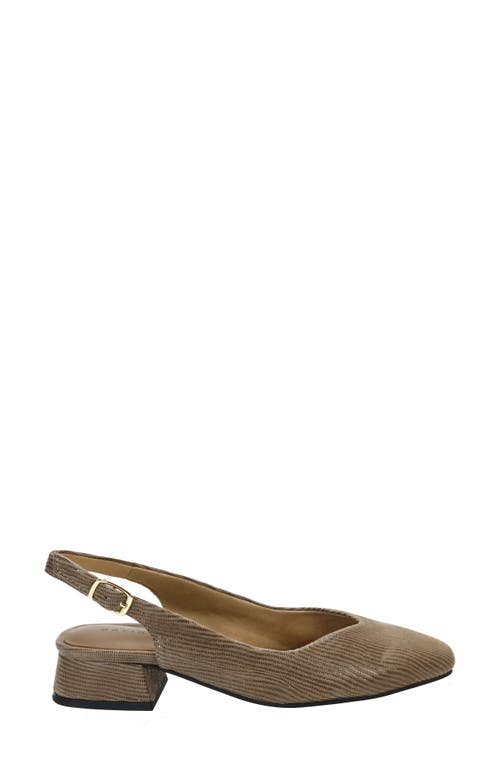 Shop David Tate Sugar Slingback Pump In Taupe Mini Lizard