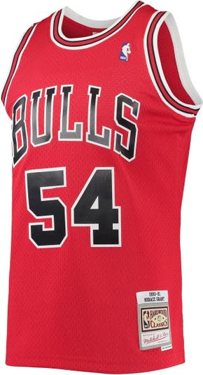 Mitchell & Ness Swingman Horace Grant Chicago Bulls 1990-91 Jersey