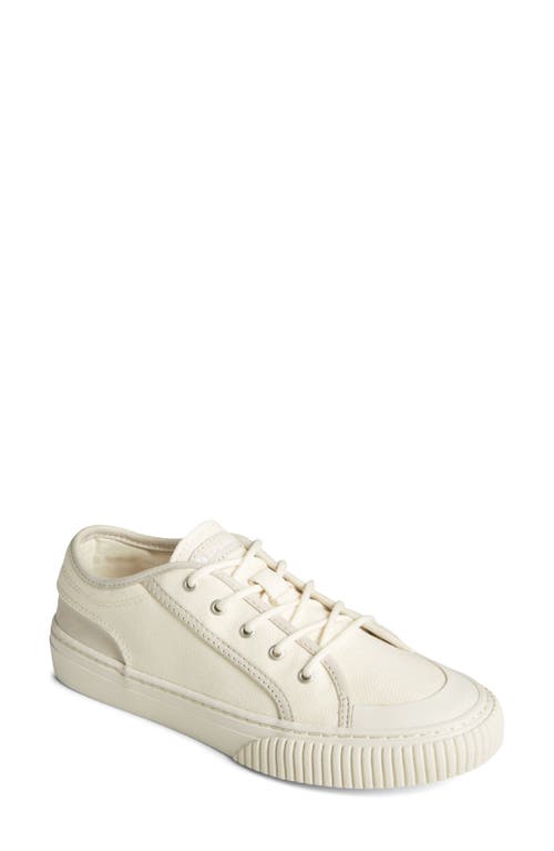 SPERRY TOP-SIDER® Astor Seacycled™ Low Top Sneaker in White 