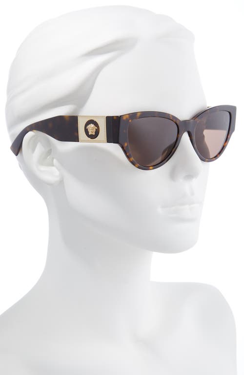 Shop Versace Phantos 55mm Cat Eye Sunglasses In Havana/dark Brown