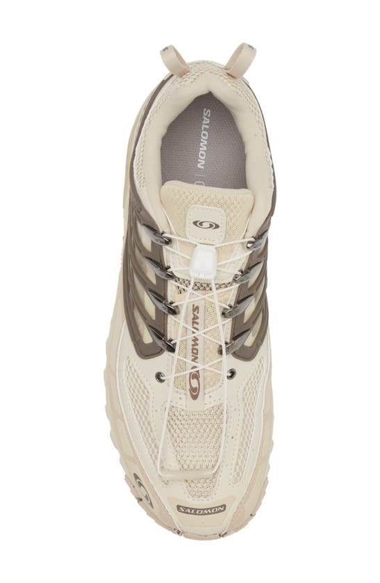 Salomon Desert Acs Pro Sneakers In Almond Milk/cement/falcon