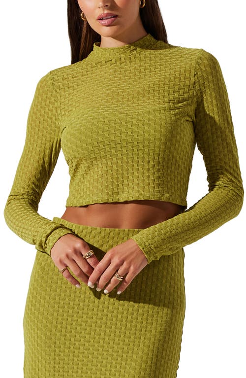 ASTR the Label Indah Long Sleeve Crop Top Avocado Green at Nordstrom,