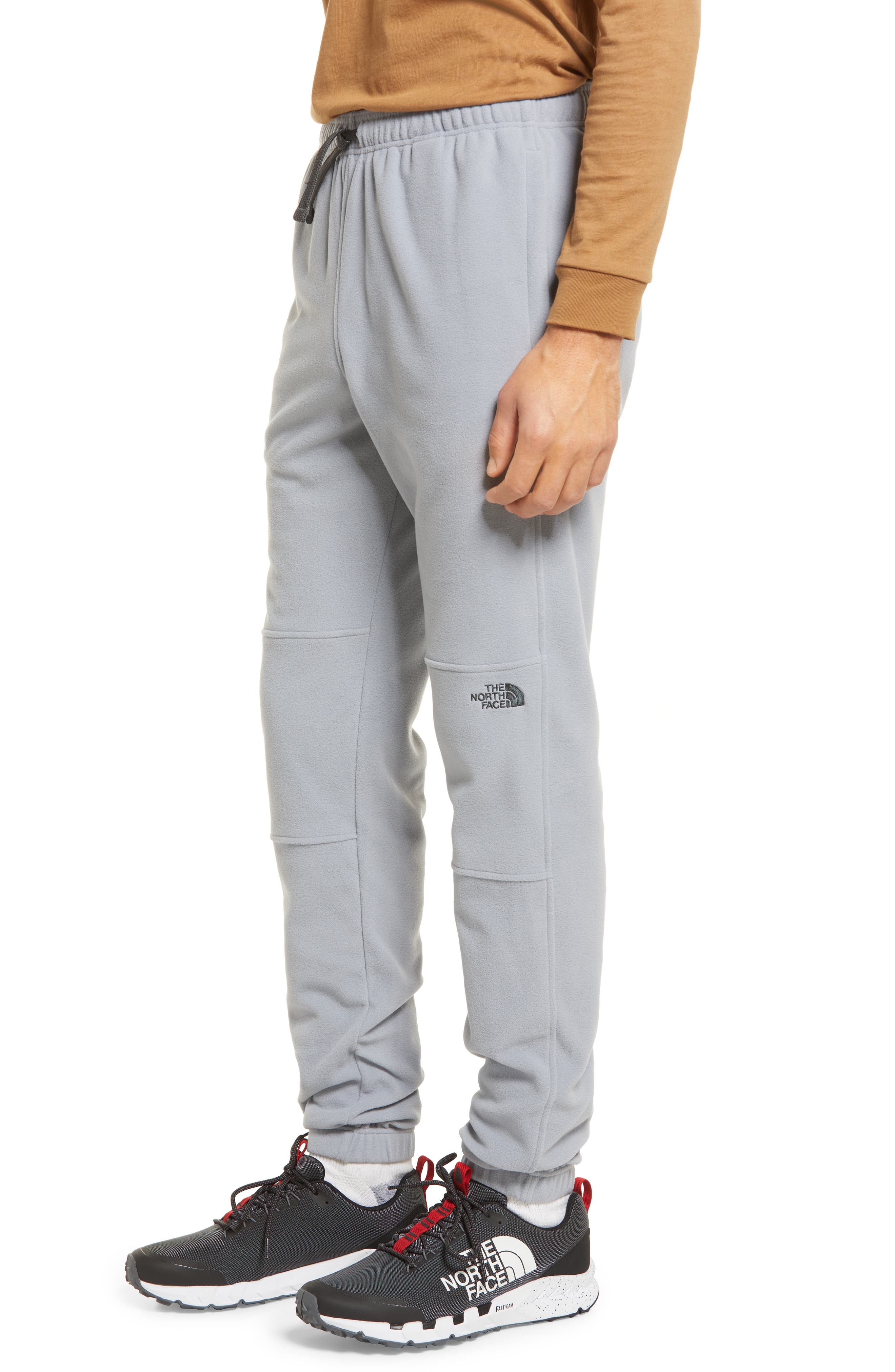 the north face glacier pant