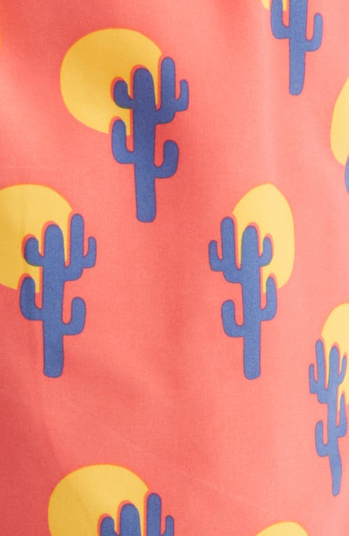 Tom & Teddy Cactus Print Performance Swim Trunks In Deep Rose