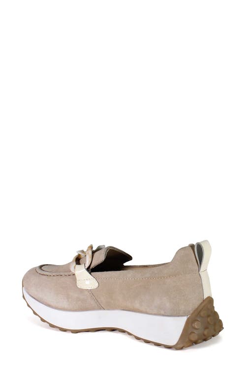 Shop Diba True Kind Words Loafer In Taupe