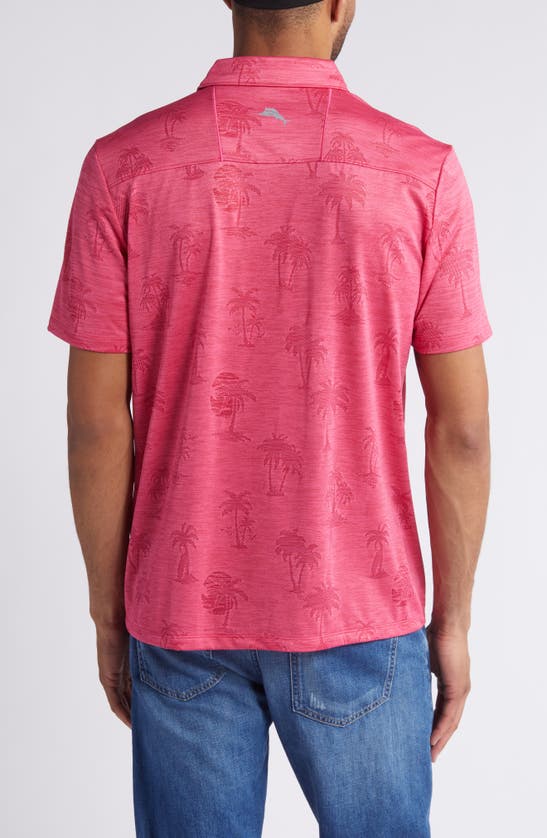 Shop Tommy Bahama Palm Coast Palmera Islandzone® Recycled Polyester Polo In Fuschia Rose