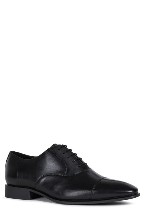 Geox High Life Cap Toe Oxford Black at Nordstrom,