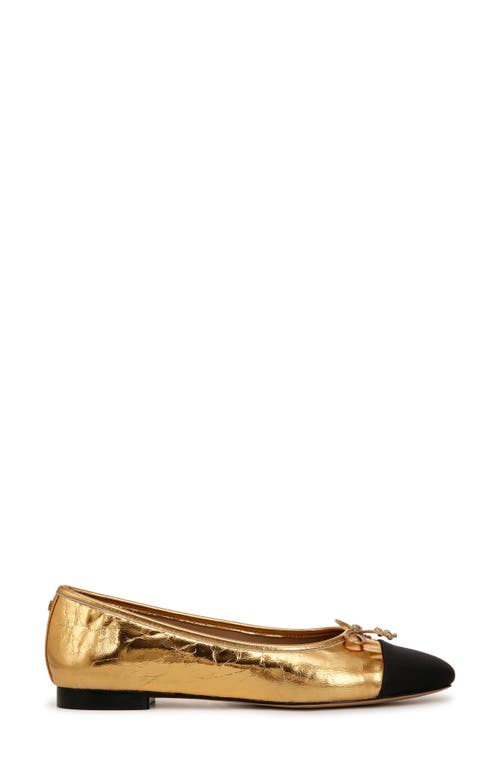 Shop Sam Edelman Marley Ballet Flat In Medallion Gold/black