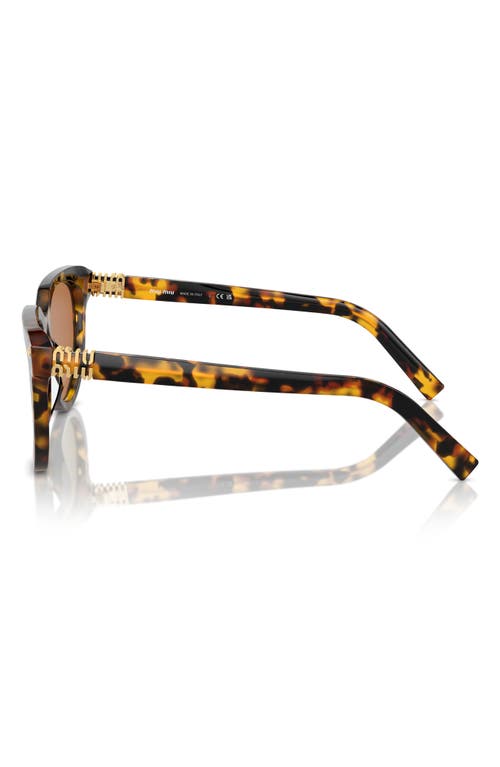 Miu Miu 56mm Phantos Sunglasses In Blond Havana