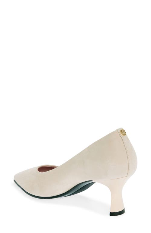 Shop Naot Margot Pointed Toe Pump In Taupe Classic Suede