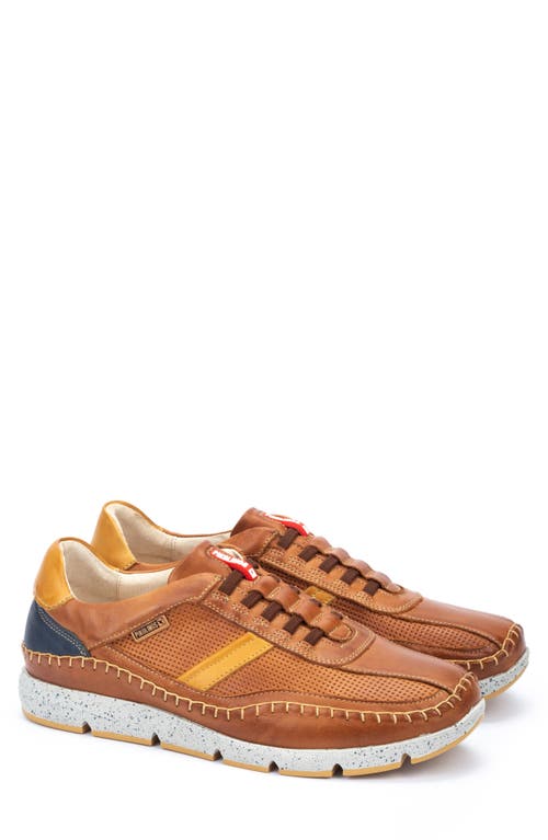 Shop Pikolinos Fuencarral Sneaker In Brandy