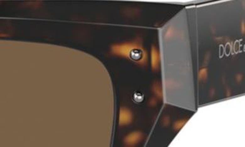 Dolce & Gabbana 52mm Cat Eye Sunglasses In Havana