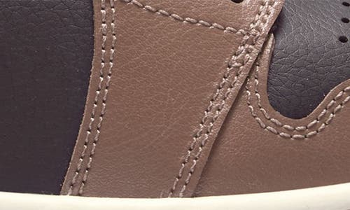 Shop Jordan Air  1 Low Sneaker In Off Noir/archaeo Brown/sail