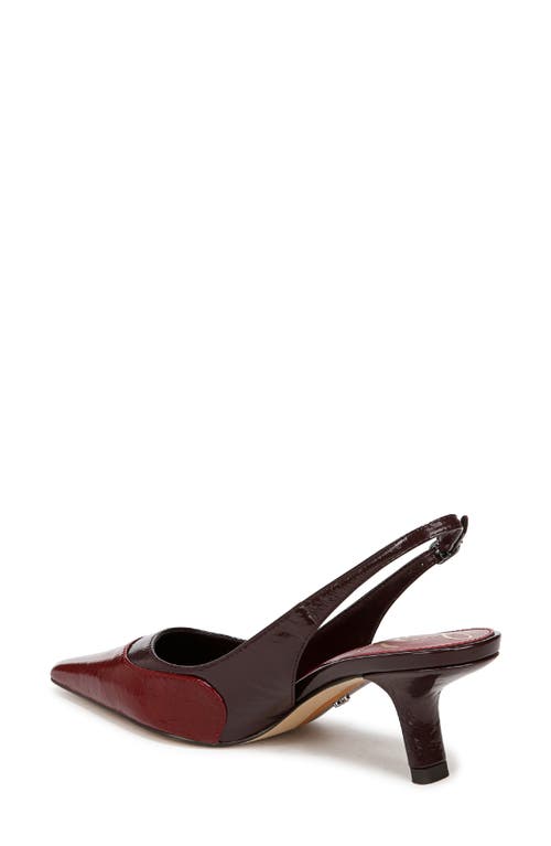 Shop Sam Edelman Bayley Pointed Toe Slingback Pump In Cabernet Red/parisian Plum