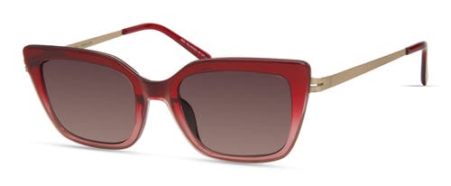 Modo 470 Sunglasses In Red Rose Gradient