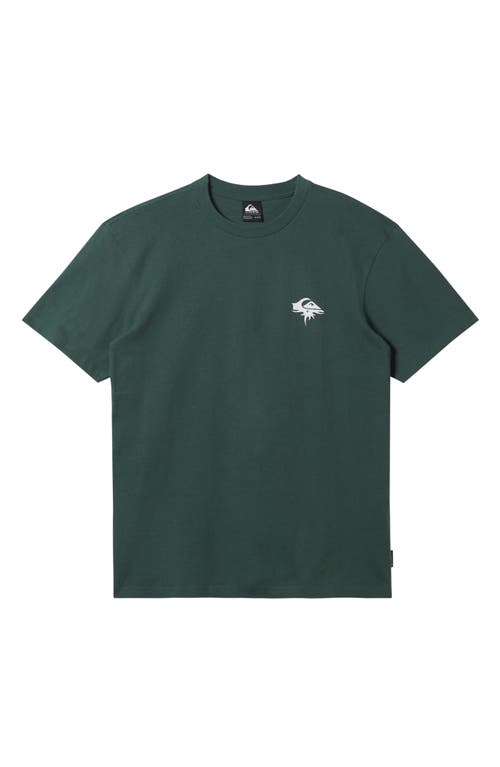 Shop Quiksilver Thorn Logo Organic Cotton Graphic T-shirt In Forest