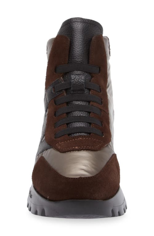 Wonders Fashion High-top Sneaker In Brown Maroon Leo Combo