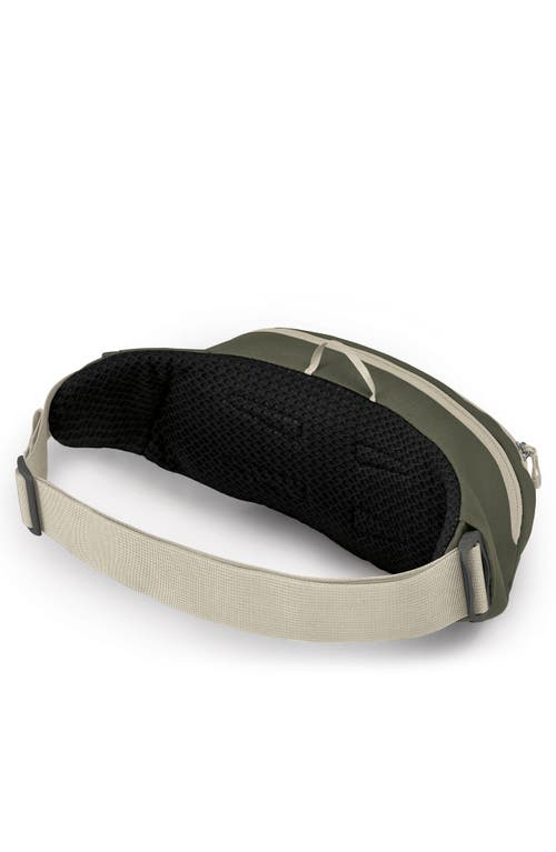 Shop Osprey Daylite Waist Pack In Green Canopy/green Creek