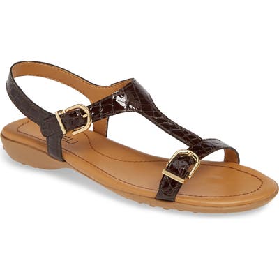 Vaneli Taletha T-Strap Sandal, Brown