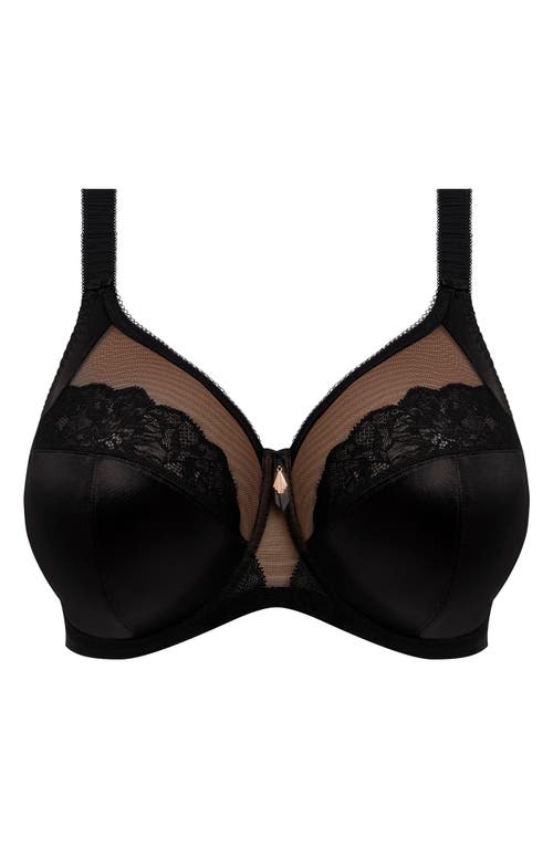 Shop Elomi Cate Allure Underwire Bra In Black