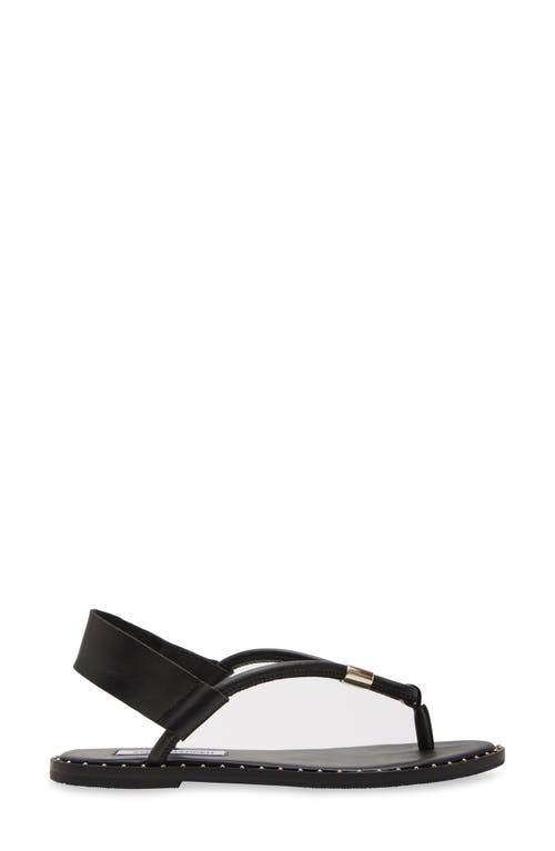 Shop Steve Madden Meduza Sandal In Black Leather