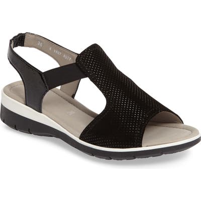 Ara Lena Sandal - Black